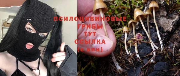 ешки Лабытнанги