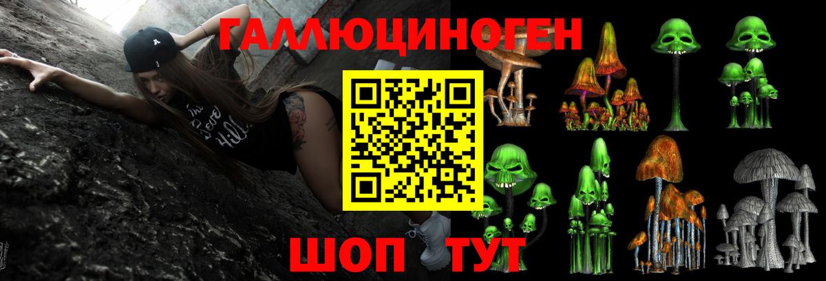 Новоалександровск  Псилоцибиновые грибы Psilocybe  Вход с VPN 