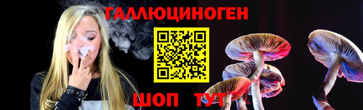 Галлюциногенные грибы Cubensis Новоалександровск