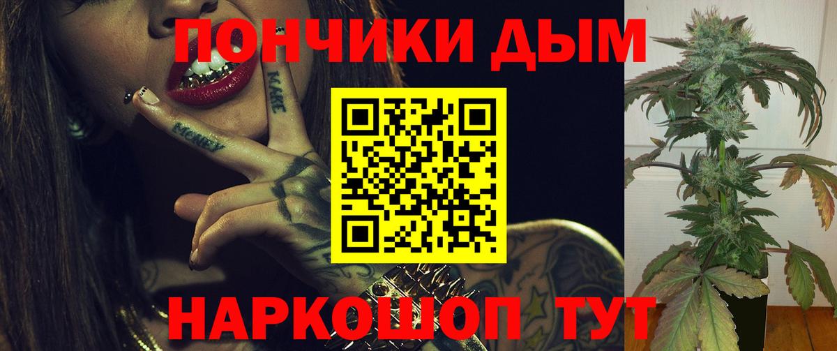 Бошки Шишки планчик Новоалександровск